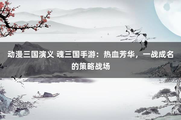 动漫三国演义 魂三国手游：热血芳华，一战成名的策略战场