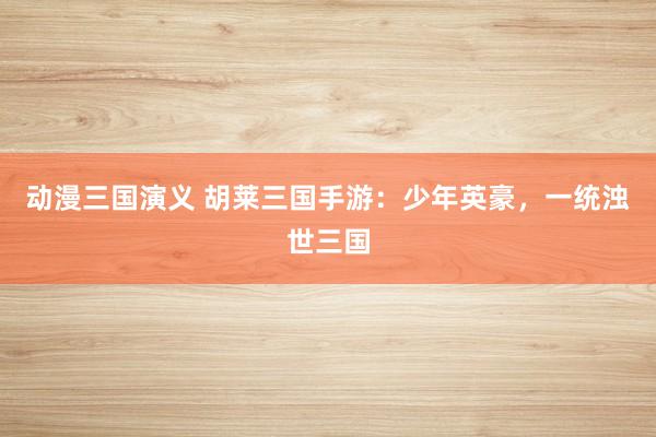 动漫三国演义 胡莱三国手游：少年英豪，一统浊世三国